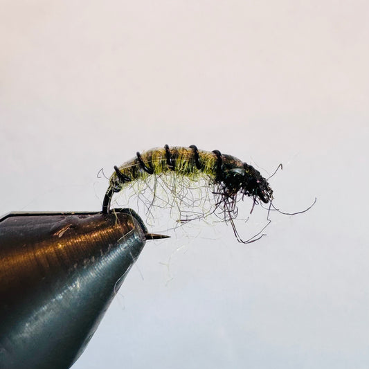 CZ Olive Nymph