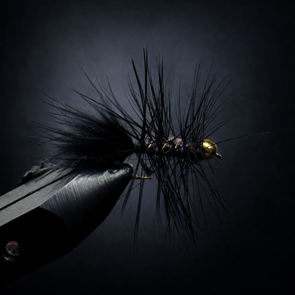 Wooly Bugger